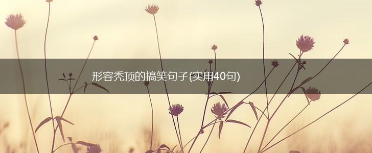 形容秃顶的搞笑句子(实用40句),第1张