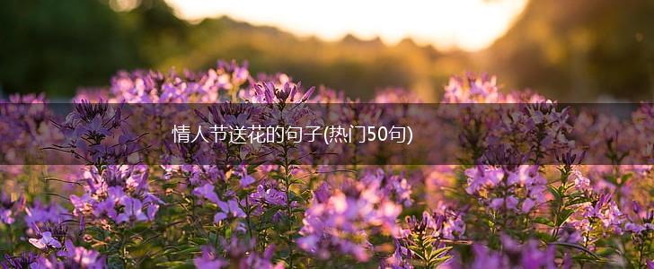 情人节送花的句子(热门50句),第1张