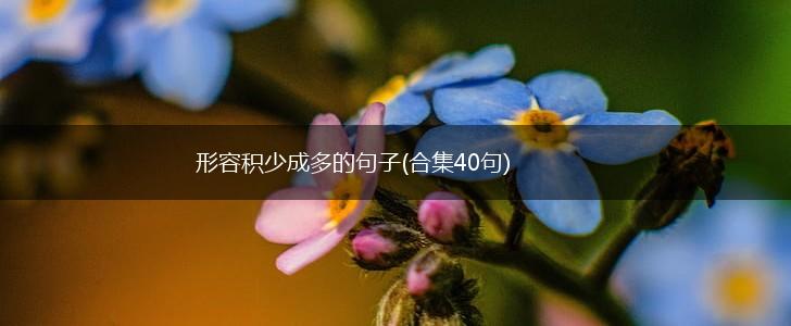 形容积少成多的句子(合集40句),第1张