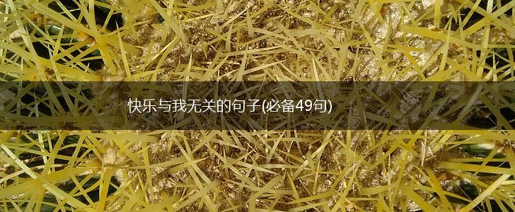 快乐与我无关的句子(必备49句),第1张