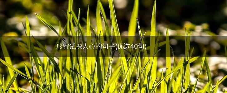 形容试探人心的句子(优选40句),第1张