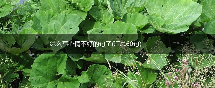 怎么写心情不好的句子(汇总60句),第1张
