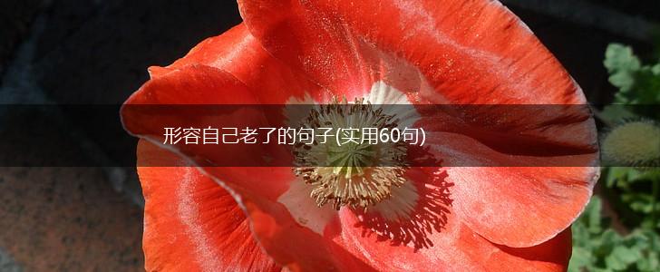 形容自己老了的句子(实用60句),第1张