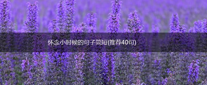 怀念小时候的句子简短(推荐40句),第1张