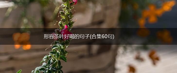 形容茶叶好喝的句子(合集60句),第1张