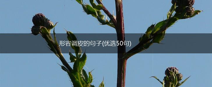 形容调皮的句子(优选50句),第1张