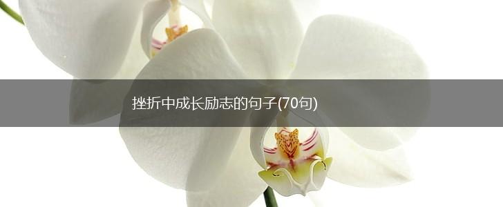挫折中成长励志的句子(70句),第1张