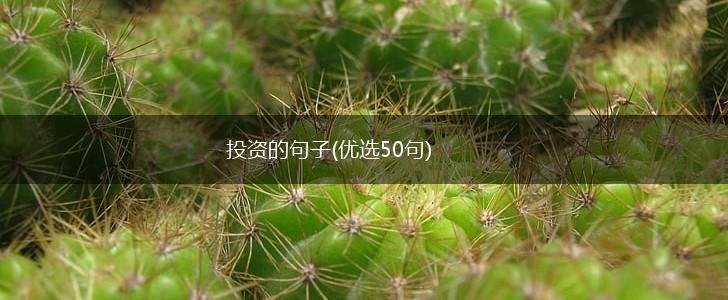 投资的句子(优选50句),第1张