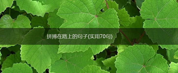 拼搏在路上的句子(实用70句),第1张
