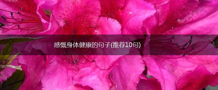 感慨身体健康的句子(推荐10句),第1张