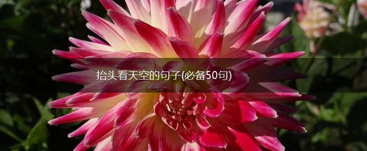 抬头看天空的句子(必备50句),第1张