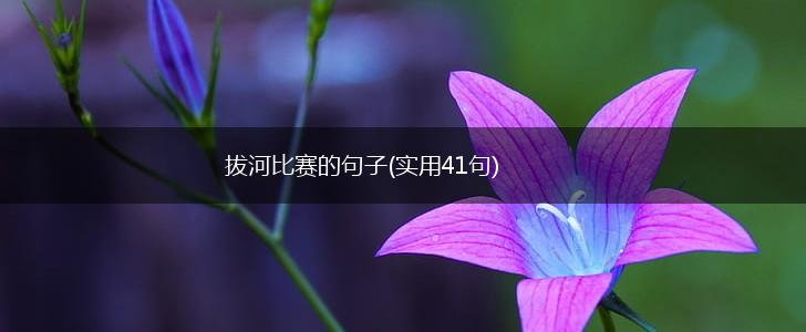 拔河比赛的句子(实用41句),第1张