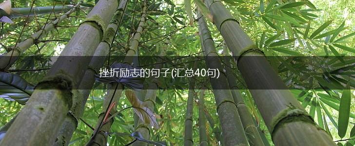 挫折励志的句子(汇总40句),第1张