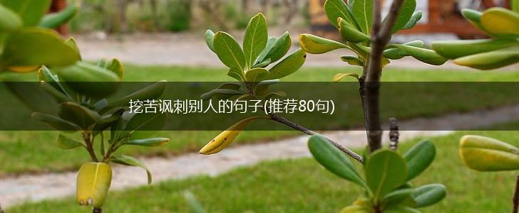 挖苦讽刺别人的句子(推荐80句),第1张