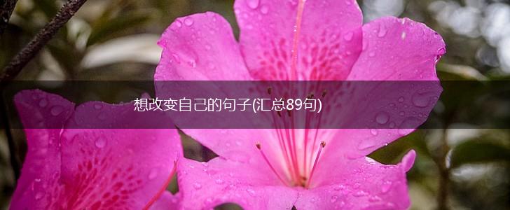想改变自己的句子(汇总89句),第1张