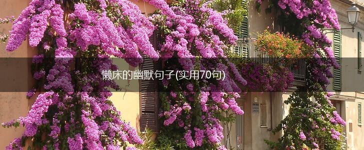 懒床的幽默句子(实用70句),第1张