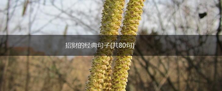 招财的经典句子(共80句),第1张