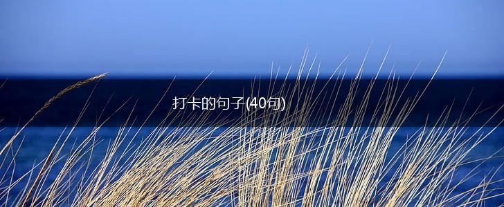 打卡的句子(40句),第1张