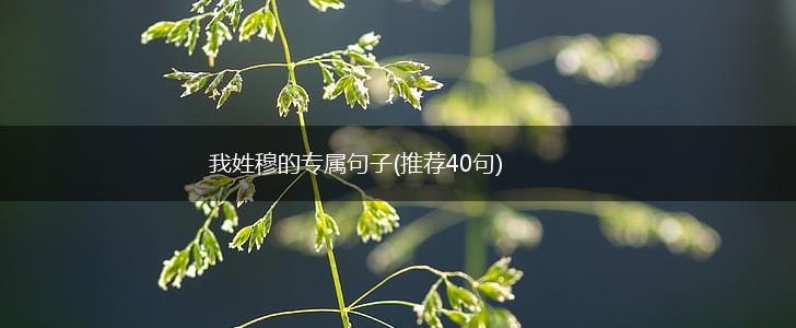 我姓穆的专属句子(推荐40句),第1张