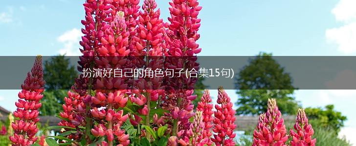 扮演好自己的角色句子(合集15句),第1张