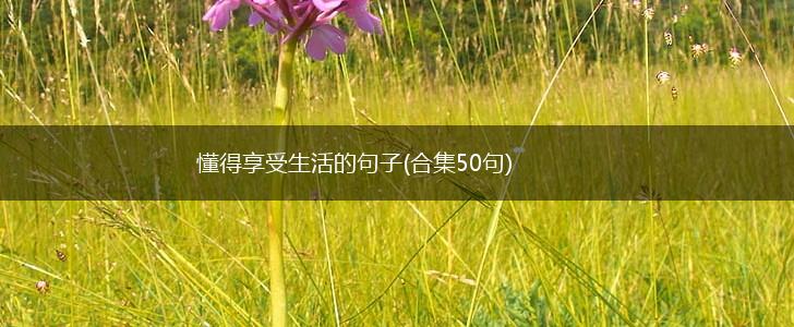 懂得享受生活的句子(合集50句),第1张