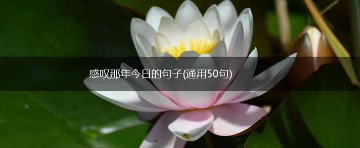感叹那年今日的句子(通用50句),第1张