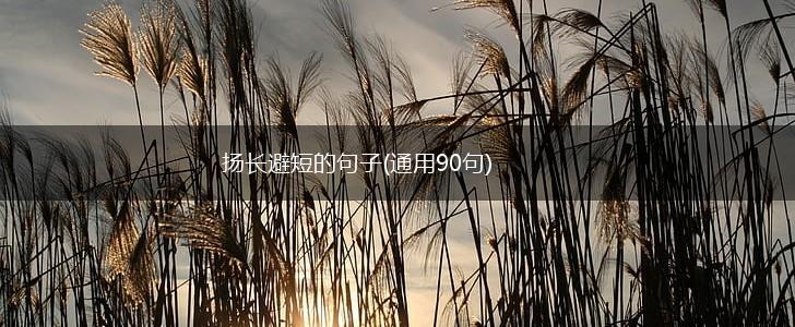 扬长避短的句子(通用90句),第1张