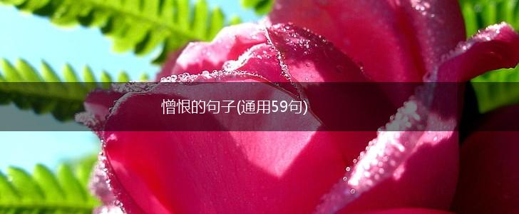 憎恨的句子(通用59句),第1张