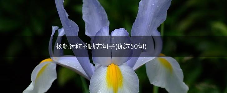 扬帆远航的励志句子(优选50句),第1张