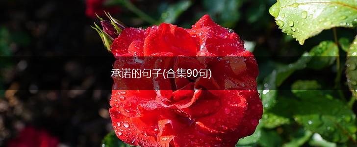 承诺的句子(合集90句),第1张