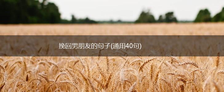 挽回男朋友的句子(通用40句),第1张