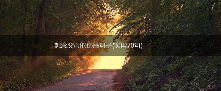 想念父母的伤感句子(实用70句),第1张