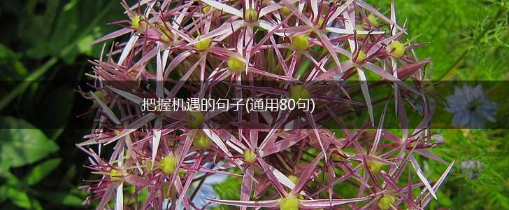 把握机遇的句子(通用80句),第1张