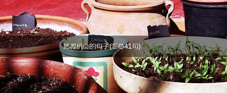 把握机会的句子(汇总41句),第1张