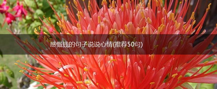 感慨钱的句子说说心情(推荐50句),第1张