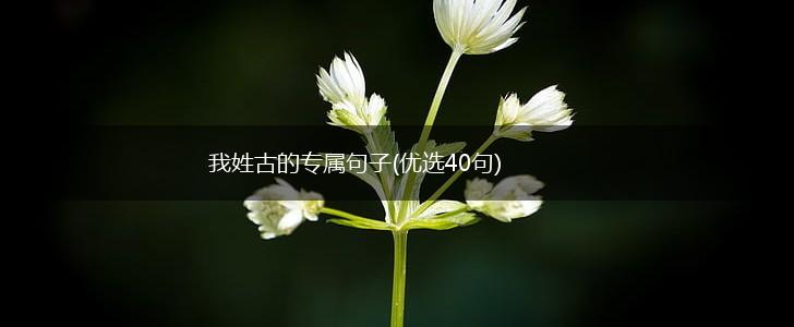 我姓古的专属句子(优选40句),第1张