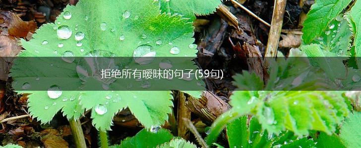 拒绝所有暧昧的句子(59句),第1张