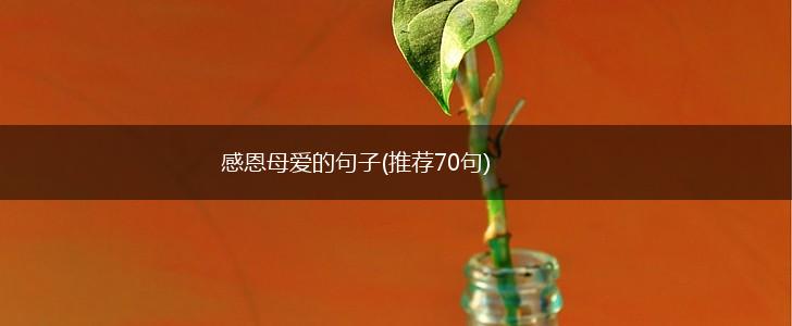 感恩母爱的句子(推荐70句),第1张