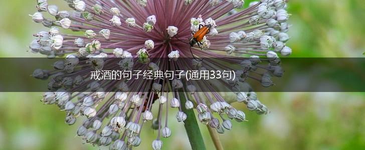 戒酒的句子经典句子(通用33句),第1张