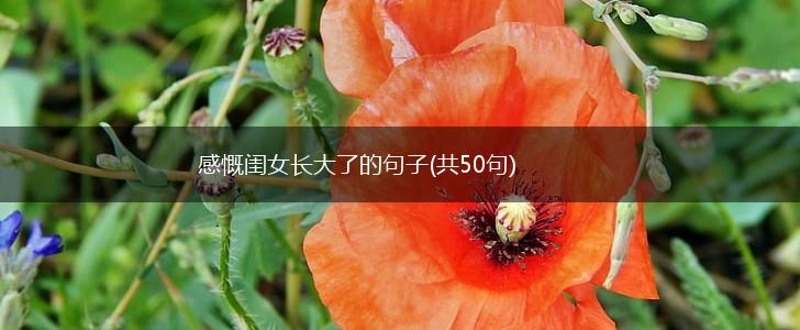 感慨闺女长大了的句子(共50句),第1张
