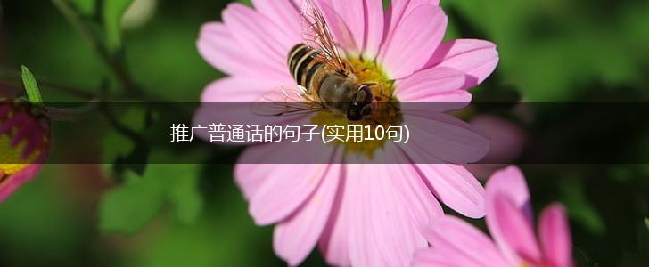 推广普通话的句子(实用10句),第1张