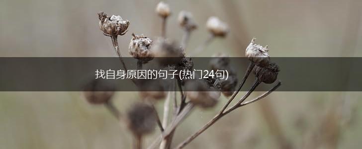 找自身原因的句子(热门24句),第1张