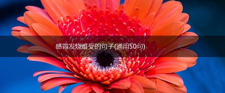 感冒发烧难受的句子(通用50句),第1张