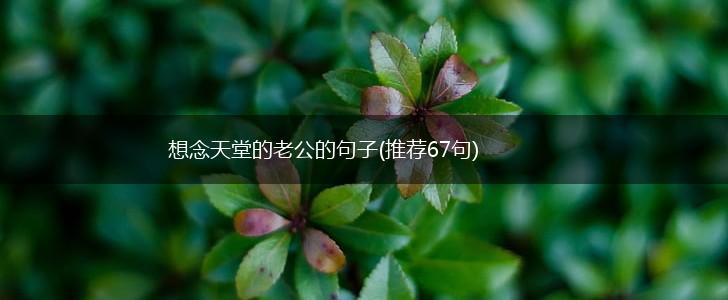 想念天堂的老公的句子(推荐67句),第1张