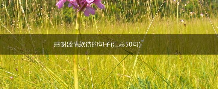 感谢盛情款待的句子(汇总50句),第1张