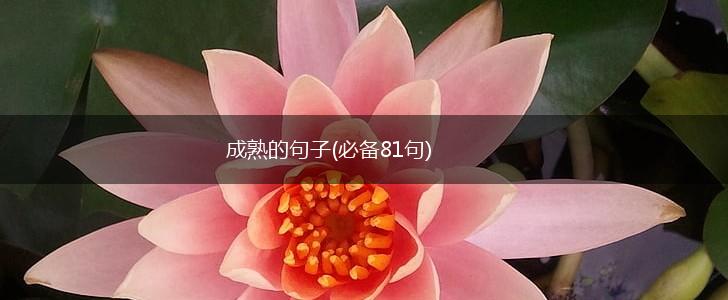 成熟的句子(必备81句),第1张
