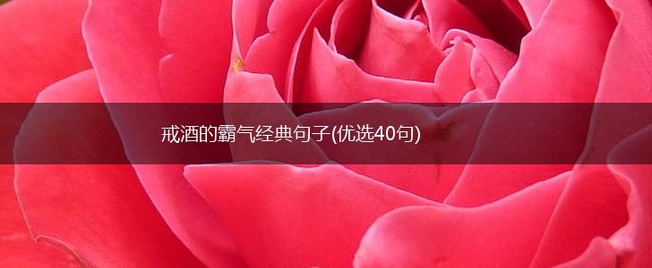 戒酒的霸气经典句子(优选40句),第1张