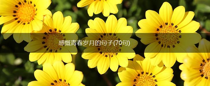 感慨青春岁月的句子(70句),第1张