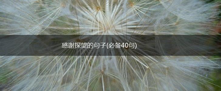 感谢探望的句子(必备40句),第1张