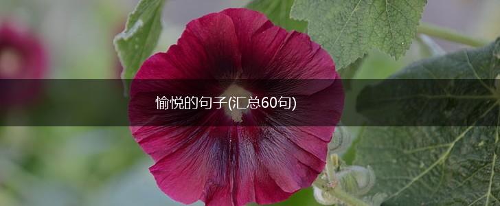愉悦的句子(汇总60句),第1张